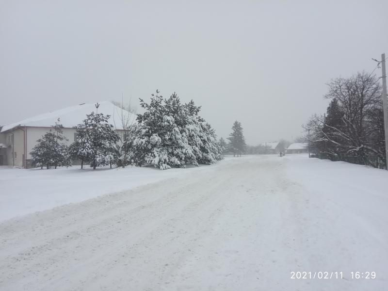 краєвид - Миртюки