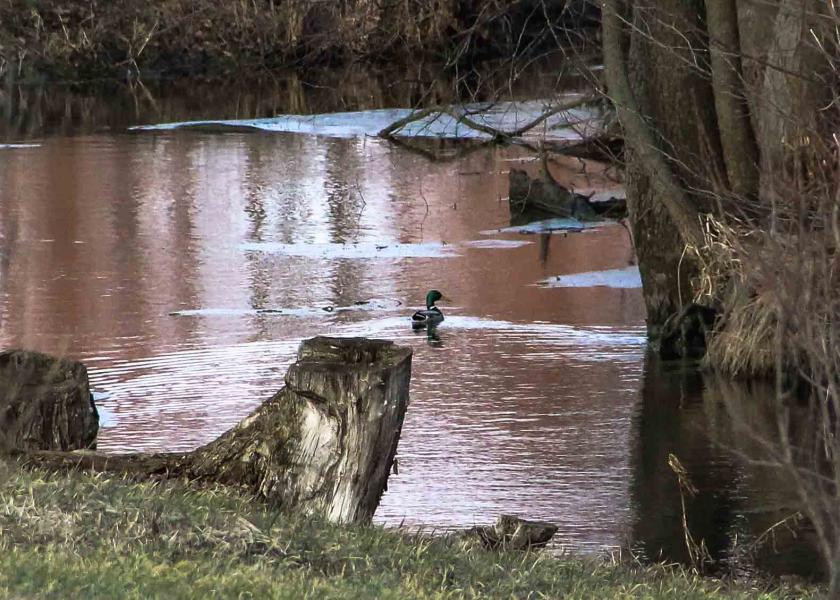 річка Лютенька. - Лютенька