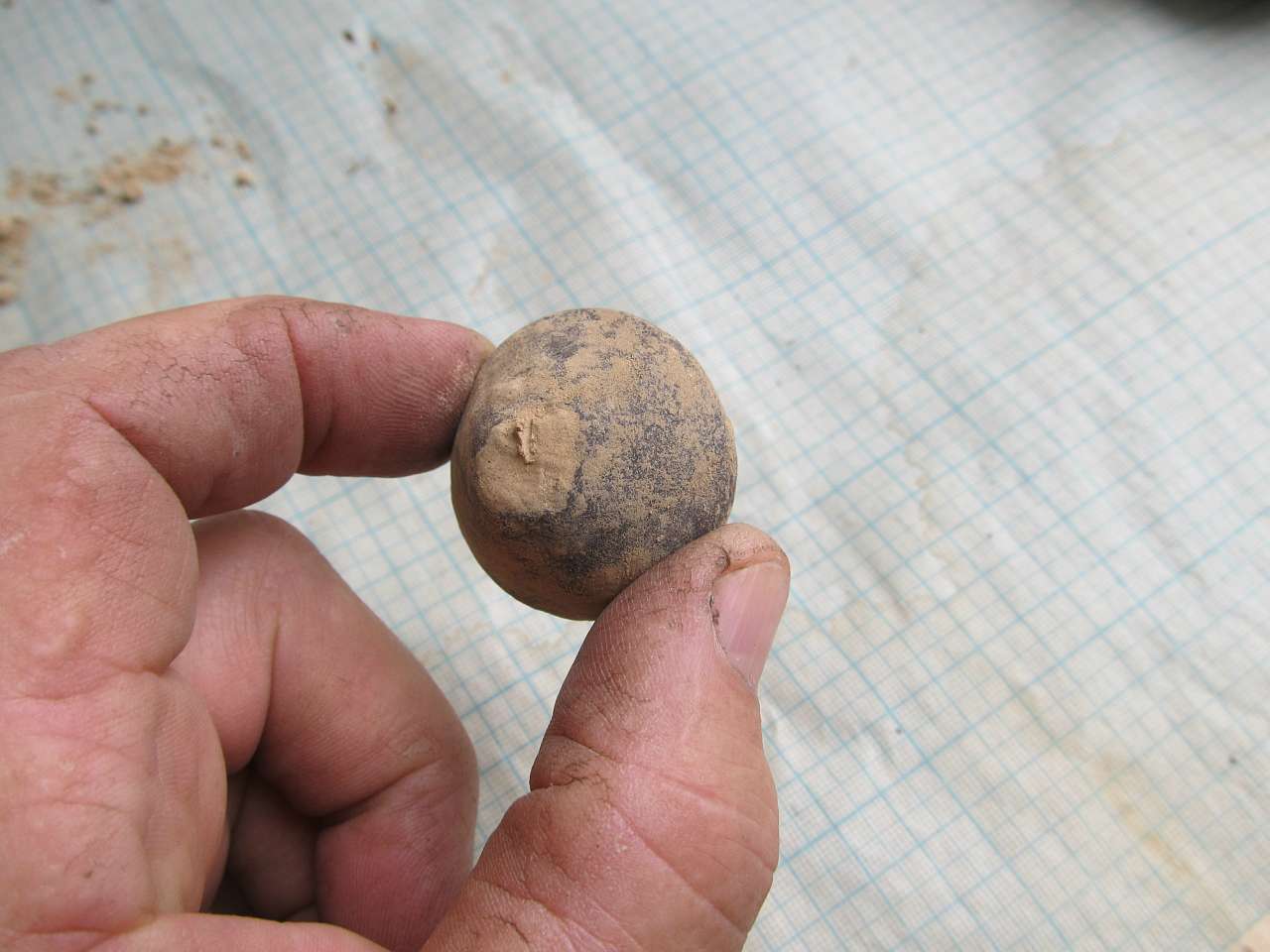 АРХЕОЛОГИ В СЕЛІ - Золота Балка