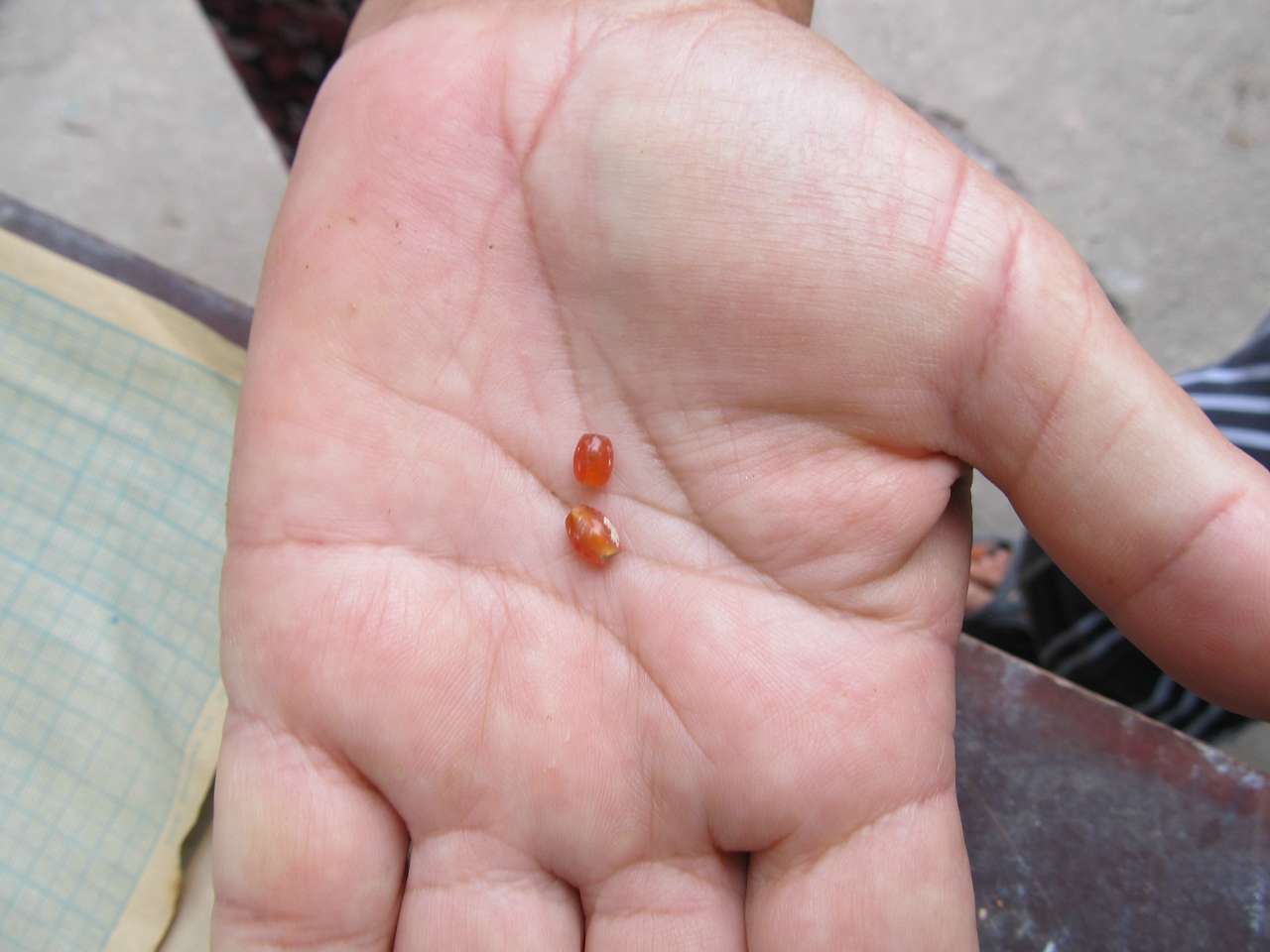 АРХЕОЛОГИ В СЕЛІ - Золота Балка