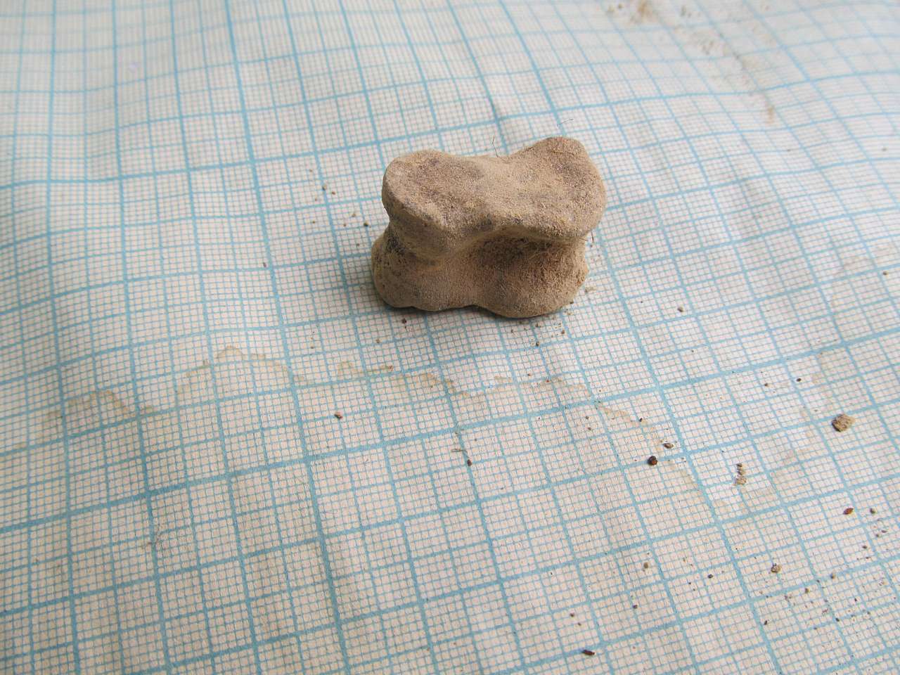 АРХЕОЛОГИ В СЕЛІ - Золота Балка