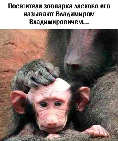 ЗООПАРК - Черкаси