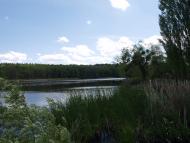 Розвалений водяний млин