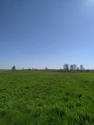 Веселинівка