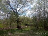 річка Вівнянка