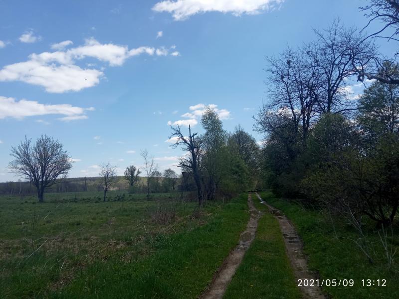 краєвид - Smolyanyy