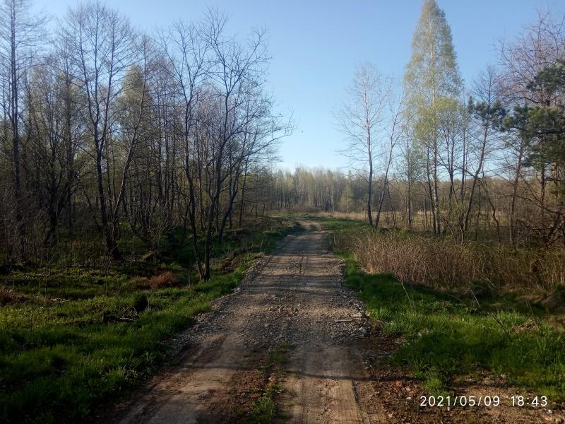краєвид - Смоляной