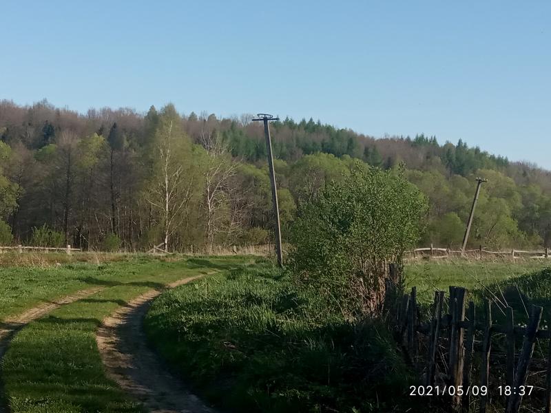 краєвид - Смоляной
