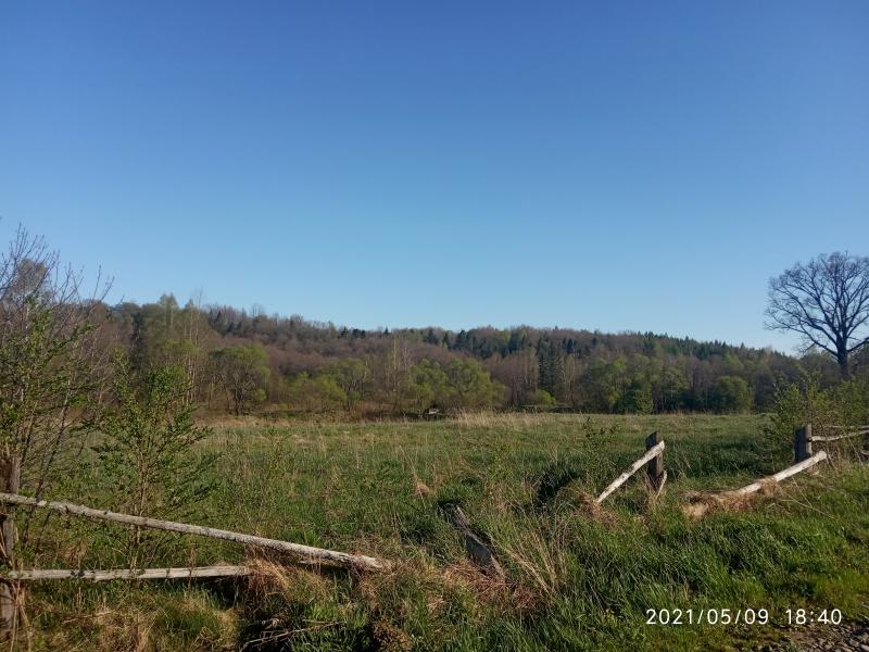 краєвид - Смоляной