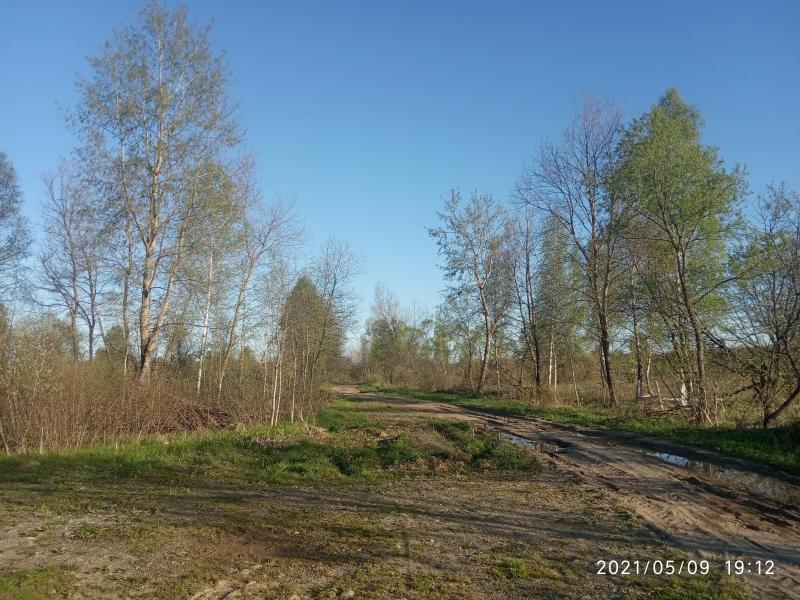 краєвид - Смоляной