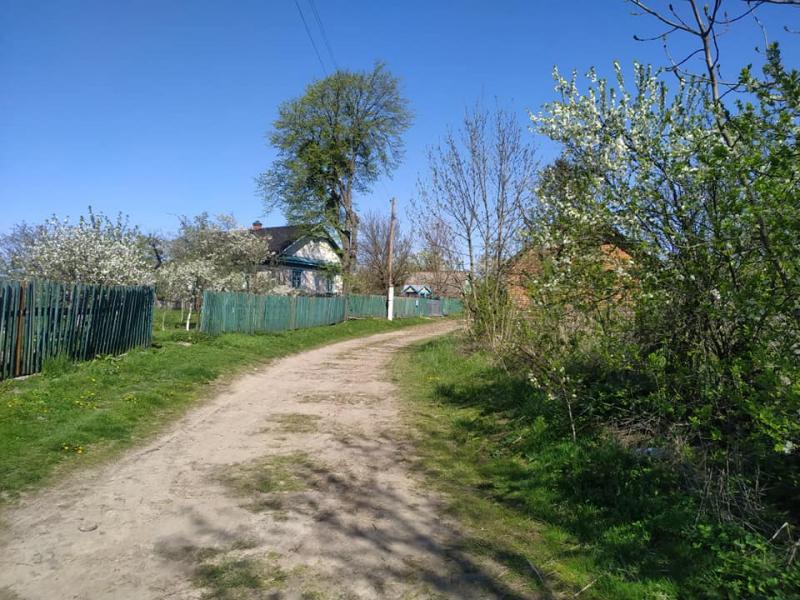 Веселинівка - Веселинівка