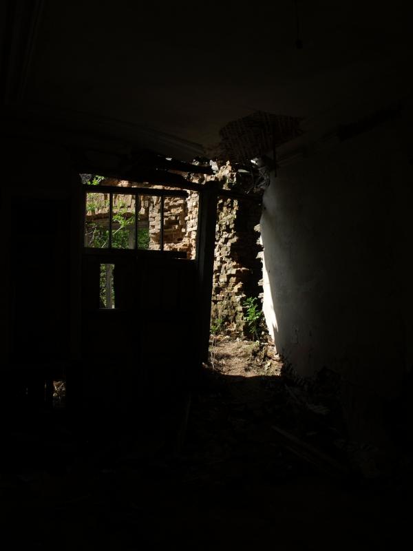 Палац який знав Чайковського - Копилів