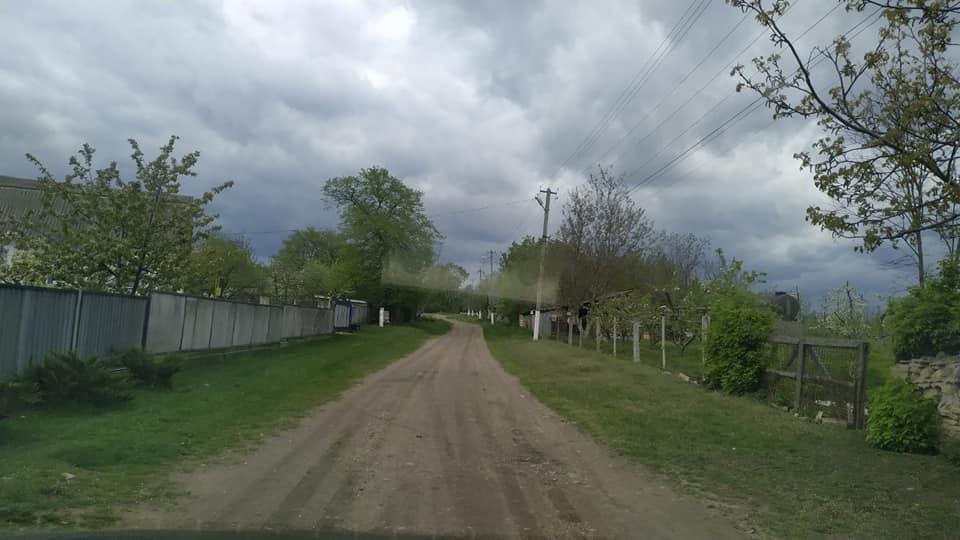 Гринчук - Гринчук