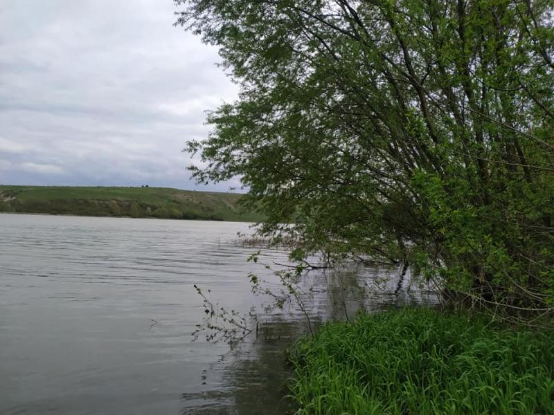 Гринчук - Гринчук