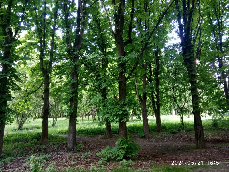 парки - Stryi