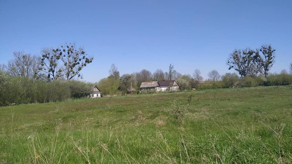 Веселинівка - Веселинівка