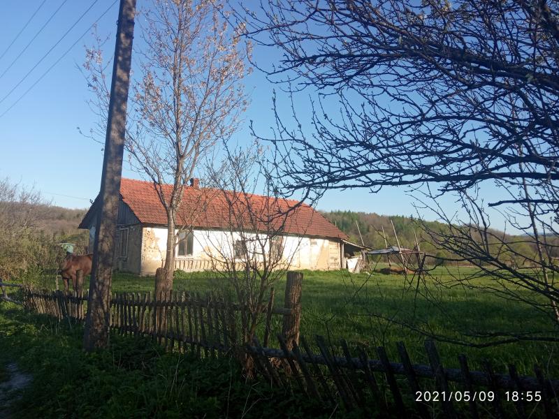 краєвид - Смоляной