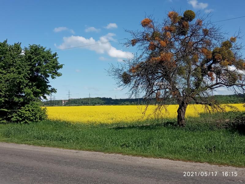 Краєвид - Verchany