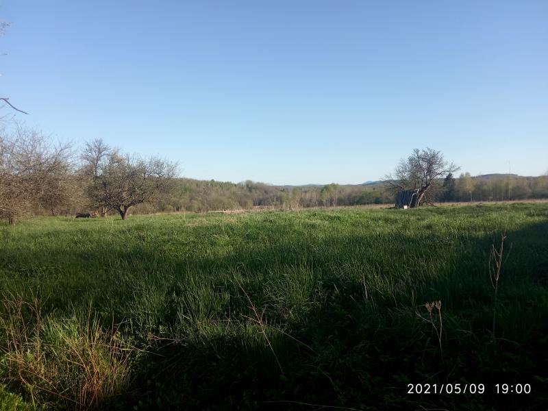 краєвид - Смоляной
