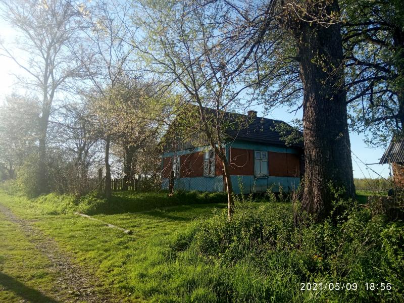 краєвид - Смоляной