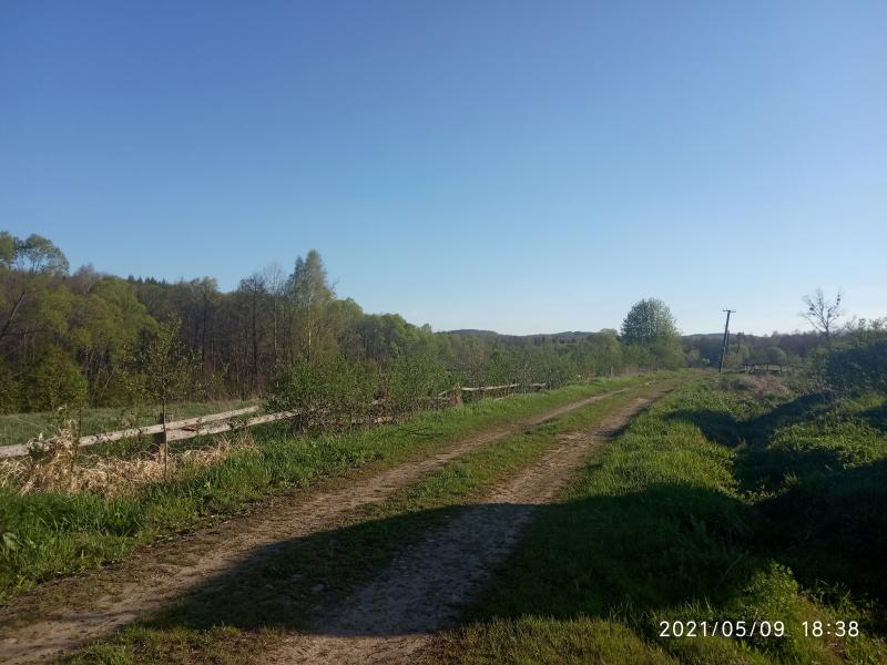 краєвид - Смоляной