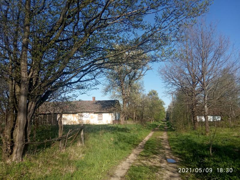 краєвид - Смоляний