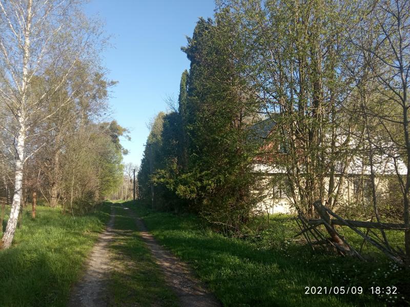 краєвид - Смоляний