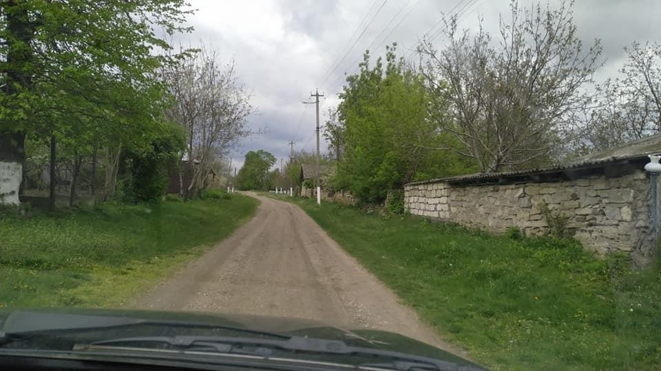 Гринчук - Гринчук