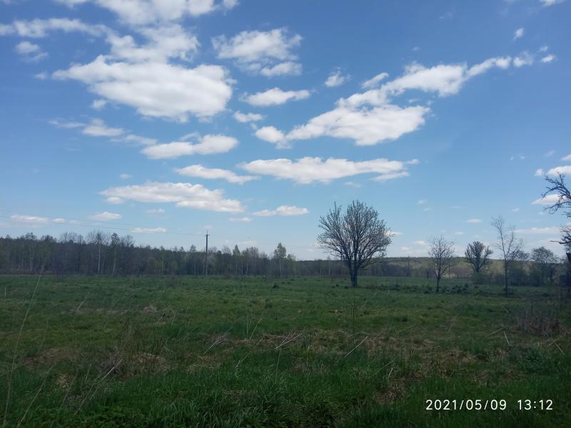 краєвид - Smolyanyy