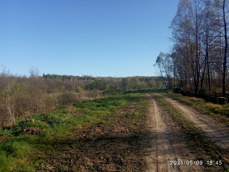 краєвид - Смоляной