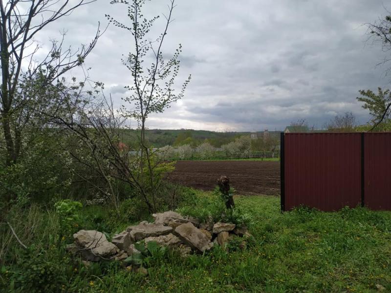 Гринчук - Гринчук