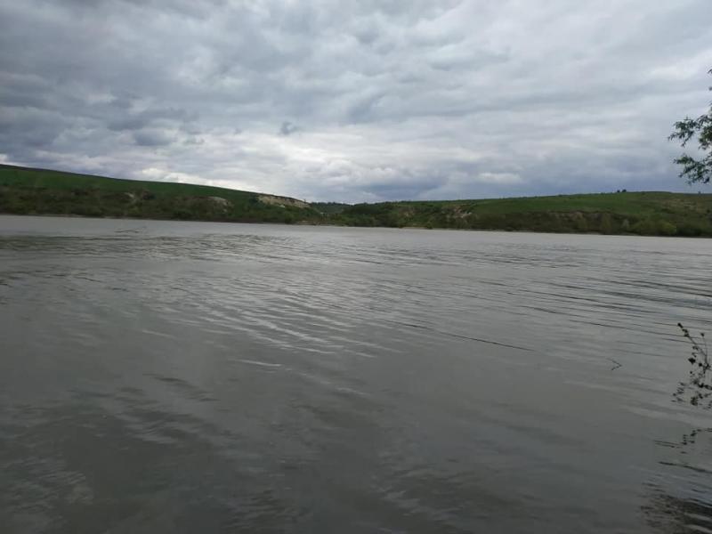 Гринчук - Гринчук