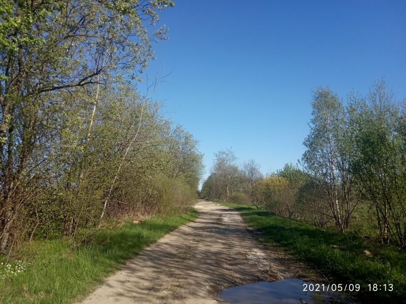 краєвид - Смоляний