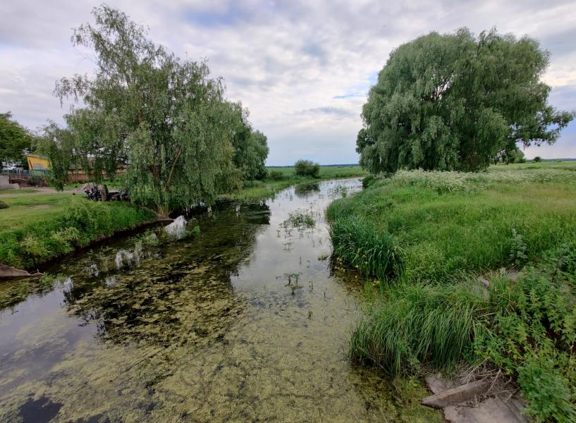 Природа Носівки - Носівка