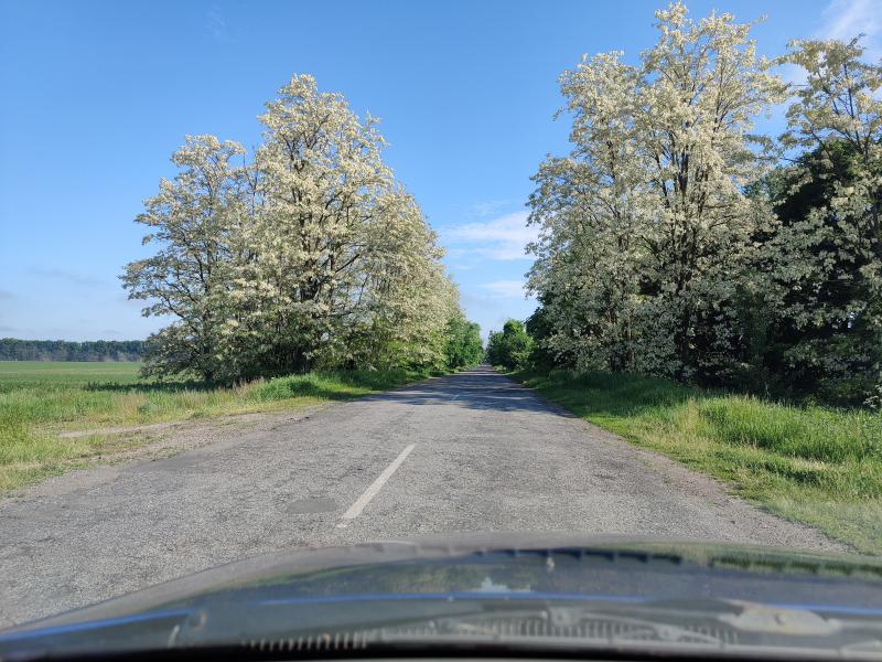 Природа - Мрин