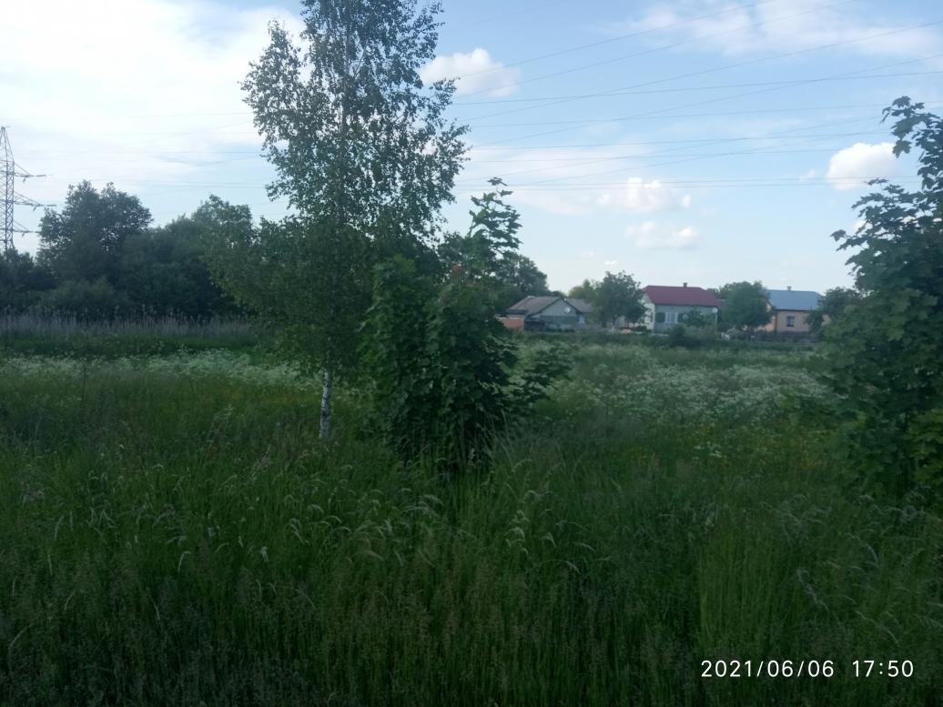 Краєвид - Ивановцы