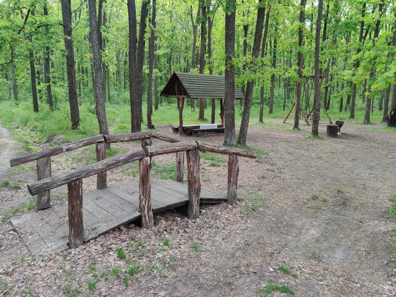 Природа Носівки - Носівка