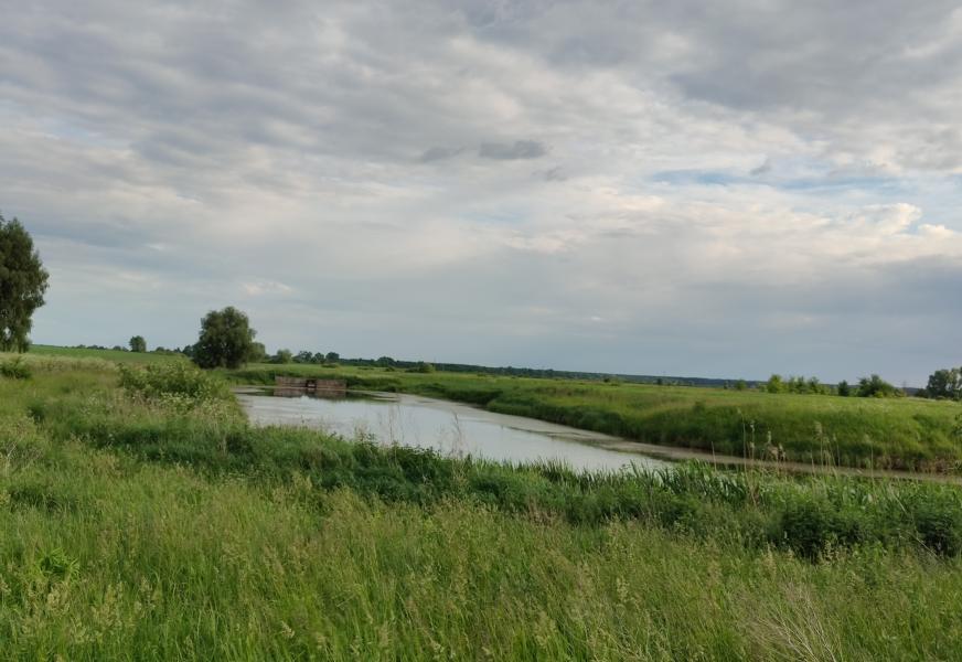 Природа Носівки - Носівка