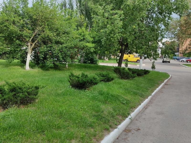 Природа Носівки - Носівка