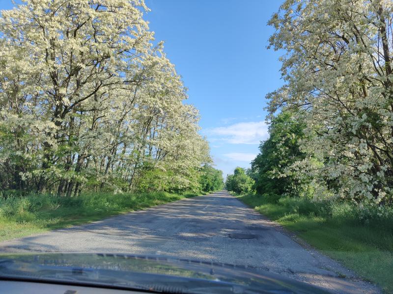 Природа - Мрин