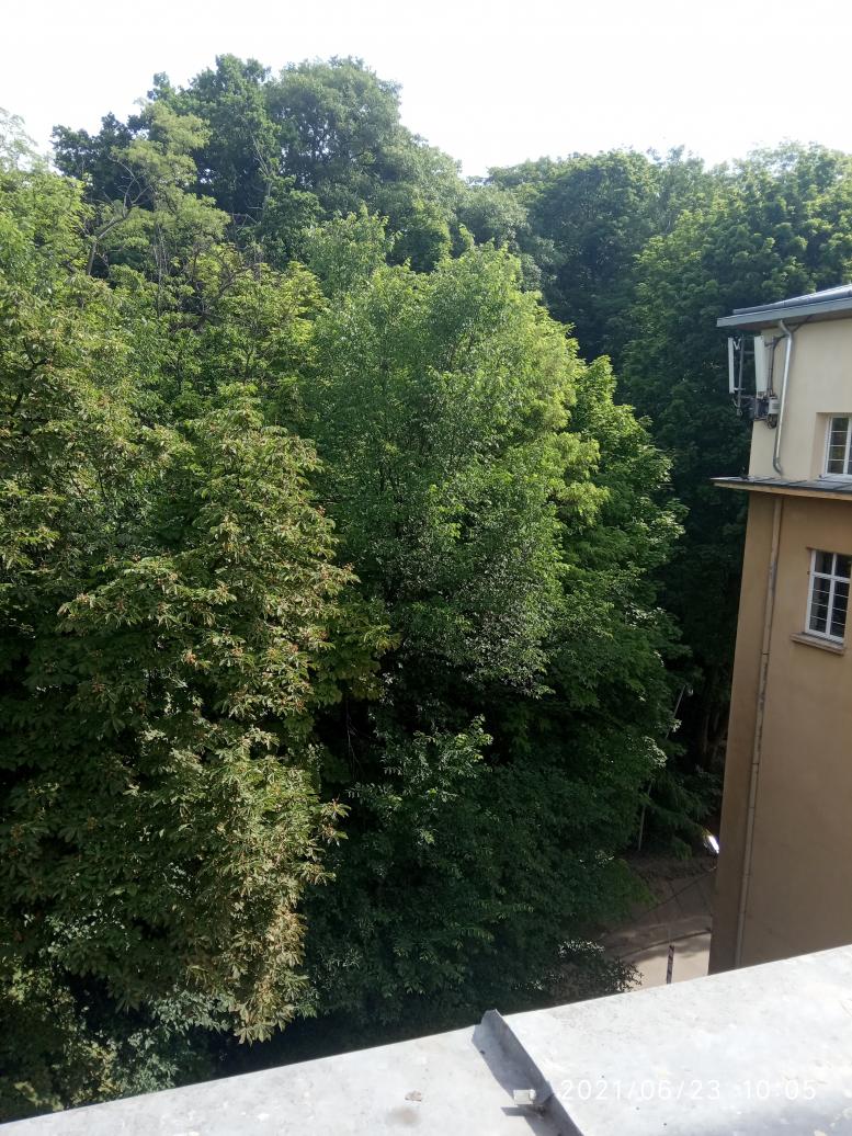 архітектурні замальовки 9 - Львов