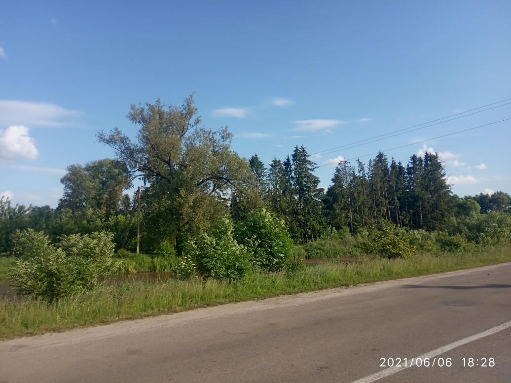 Краєвид - Вільхівці