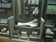 КРАЄЗНАВЧИЙ МУЗЕЙ