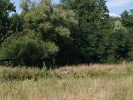 ВАНТОВИЙ МІСТ ЧЕРЕЗ УЖ