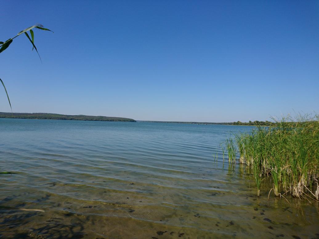 Рубці з panoramio.com - Рубцы