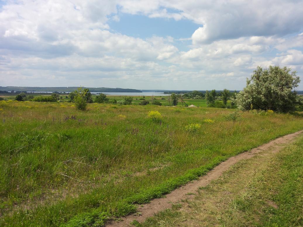 Наши фото - Рубці