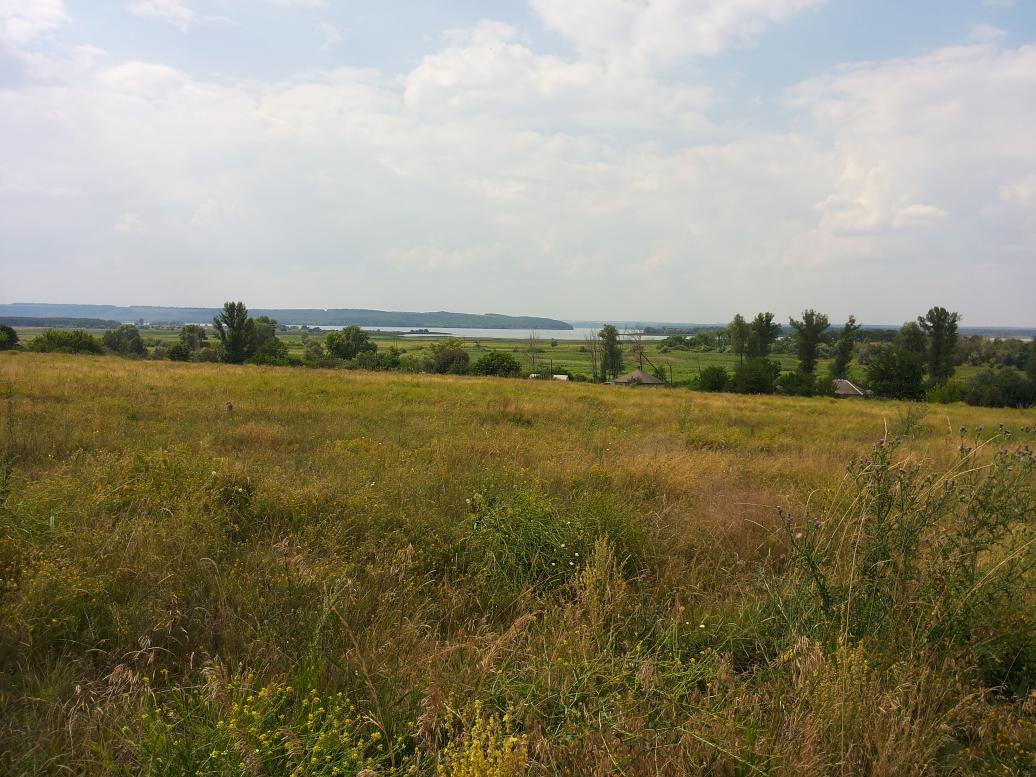 Наши фото - Рубцы