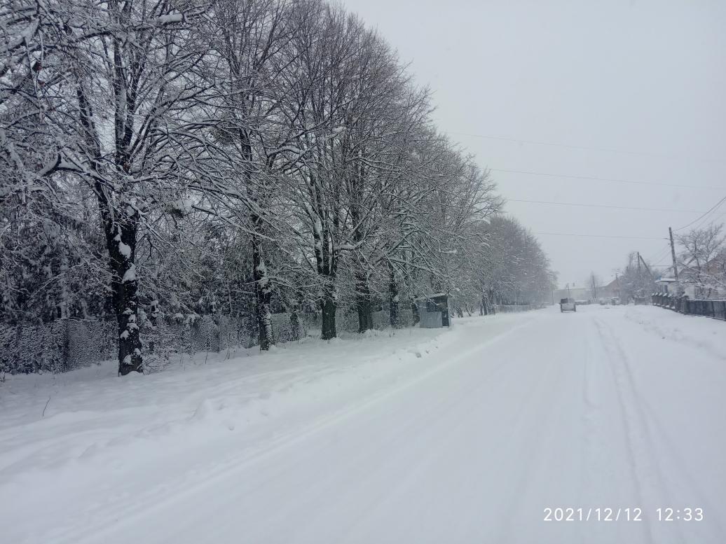краєвид - Zhulyn