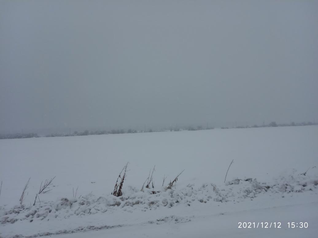 краєвид - Zhulyn