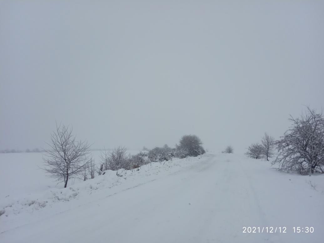 краєвид - Zhulyn